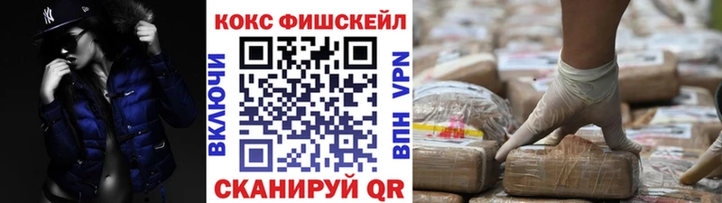где купить наркоту  blacksprut маркетплейс  Cocaine Fish Scale  Козельск 