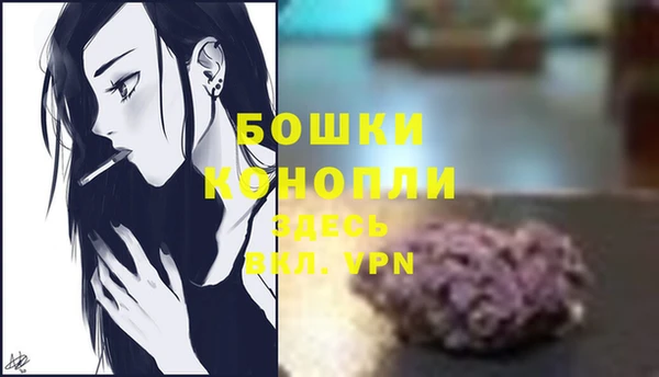 ГАЛЛЮЦИНОГЕННЫЕ ГРИБЫ Балабаново