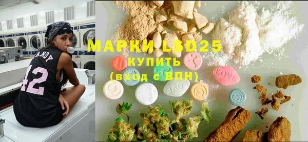 ГАЛЛЮЦИНОГЕННЫЕ ГРИБЫ Балабаново
