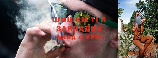 ГАЛЛЮЦИНОГЕННЫЕ ГРИБЫ Балабаново