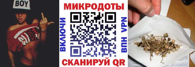 маркетплейс официальный сайт  Козельск  Псилоцибиновые грибы мухоморы 
