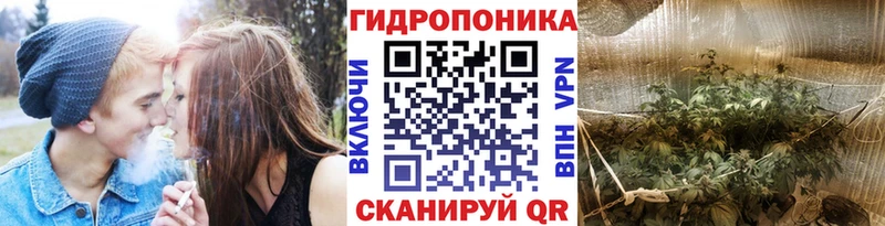 Шишки марихуана OG Kush  МЕГА маркетплейс  Козельск  как найти закладки 